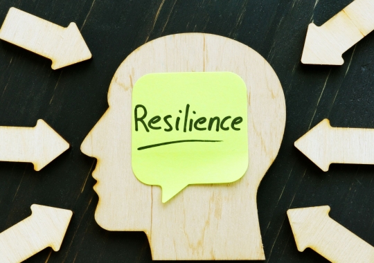 Sua área de TI é resiliente de verdade?
